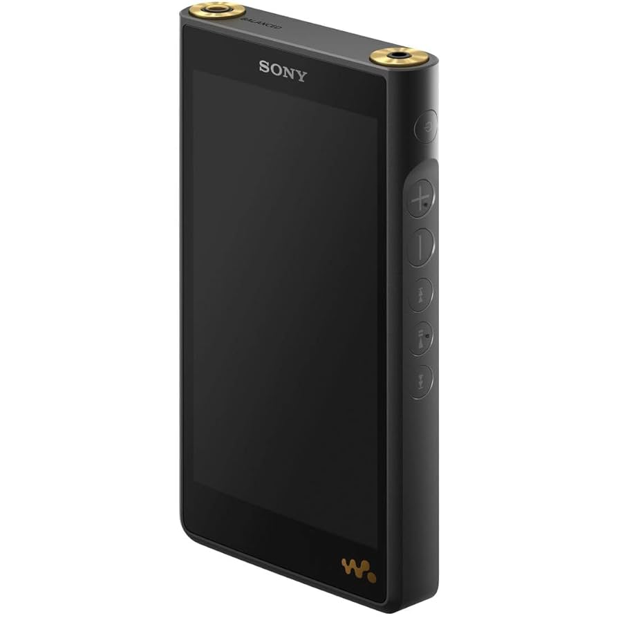 ヤ*ス様 ソニー ウォークマン 128GB WM1シリーズ NW-WM1AM2 SONY NW-WM1A [128GB] 価格比較 - 価格.com